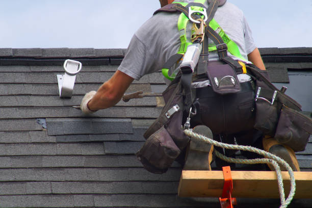 Best Shingle Roofing Installation  in Lan, MI