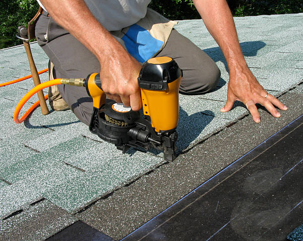 Best Roof Gutter Cleaning  in Lan, MI