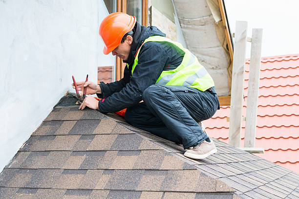 Best Roof Restoration Services  in Lan, MI