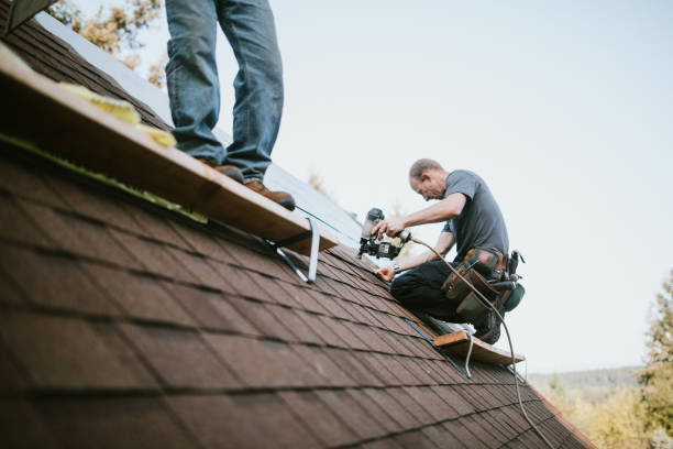 Best Best Roofing Contractors  in Lan, MI